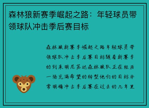 森林狼新赛季崛起之路：年轻球员带领球队冲击季后赛目标